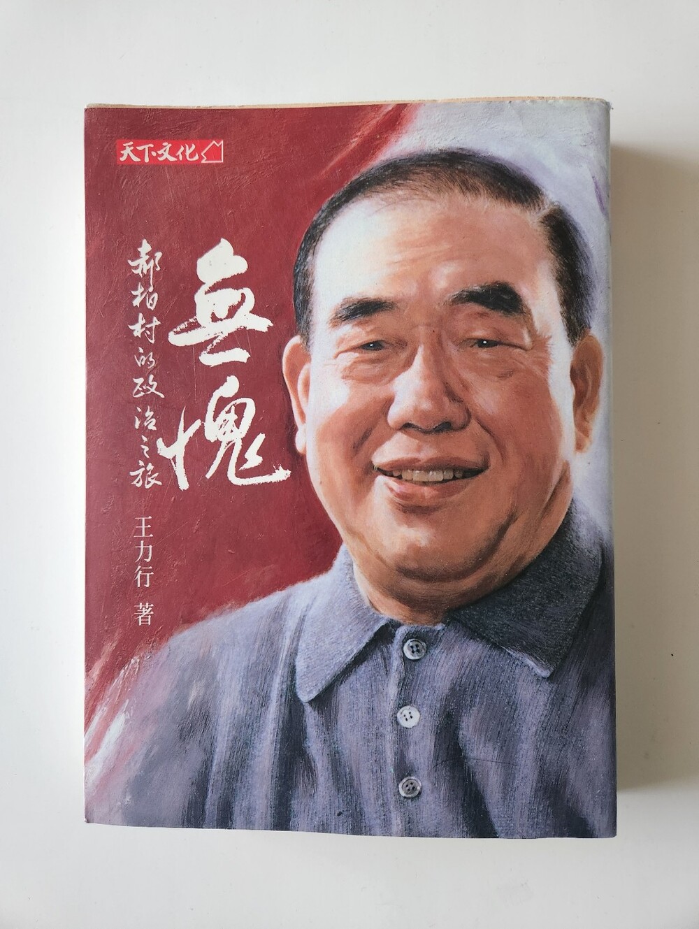 Hau Pei Tsun Political Memoir Taiwan 1994 HC DJ Chinese Book 無愧 郝柏村 王力行